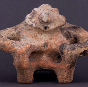 Museo Medicina Arqueológico Anm